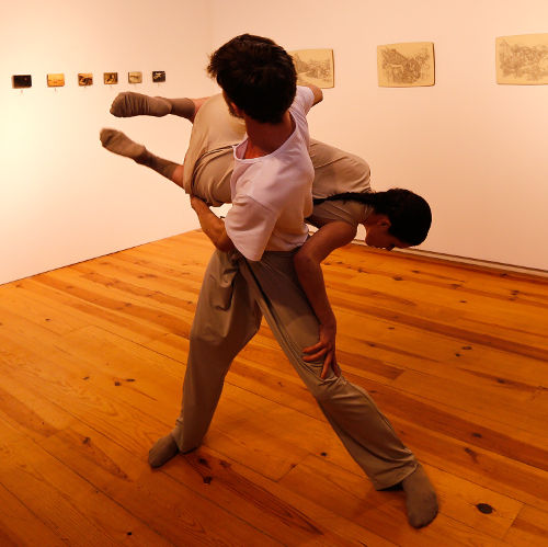 Identidade e Multiplicidade foto Flor Salgueiro