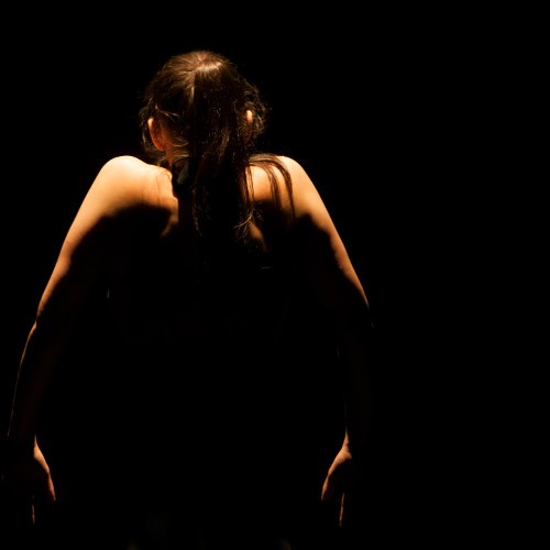 plataforma Segundo Paragrafo SOFIA SOROMENHO