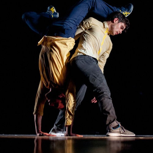 plataforma designed to fail CATARINA MORLA