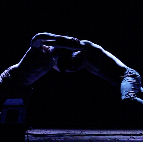 plataforma lupi EMMA CIANCHI 2