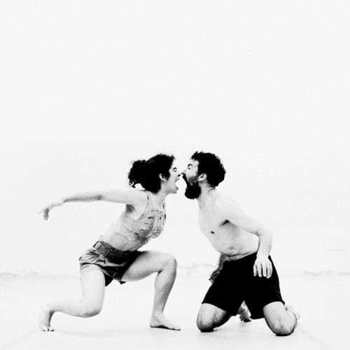 plataforma this is not MAURICIA NEVES