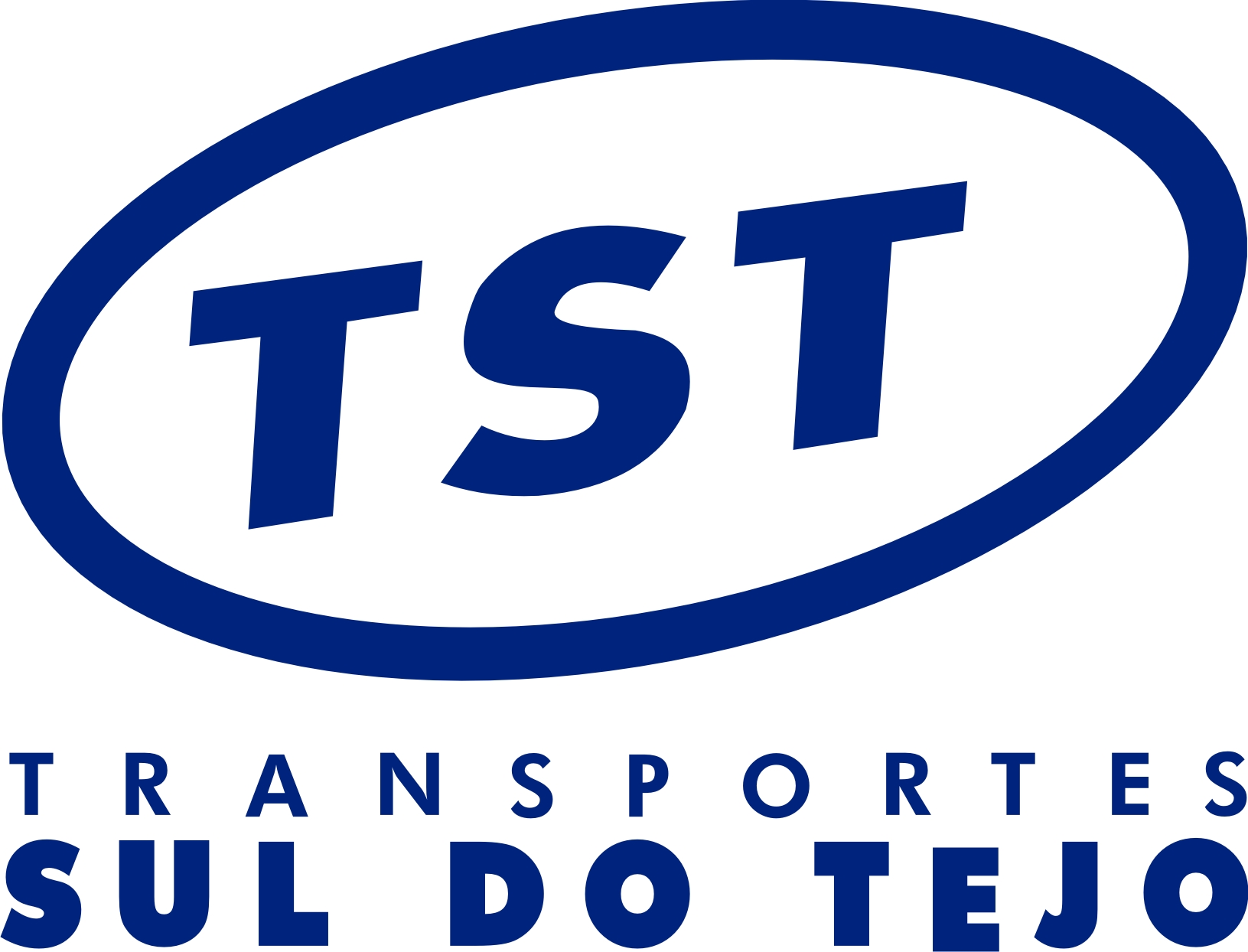 logo TST positivo
