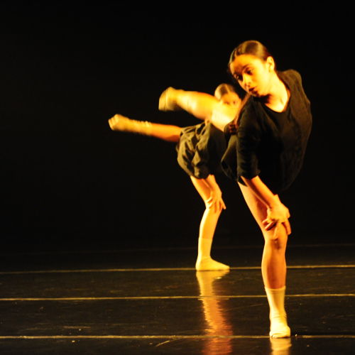 AUDICOES ENSINO INTEGRADO CaDA ESCOLA creditos CMA Anabela Luis 500x500