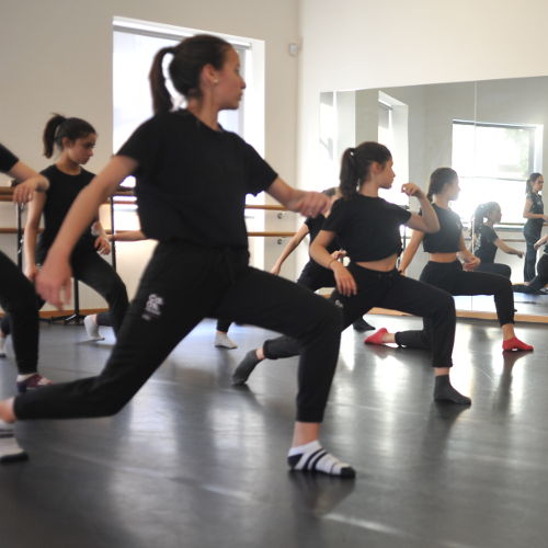 Aulas abertas Curso Vocacional CaDA Escola 201920 500x500