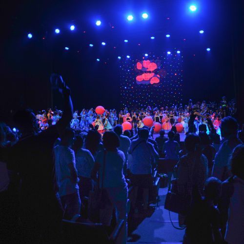 Esp fim ano Danca Classica 2017 18 CaDA Escola foto Pedro Soares 500X500