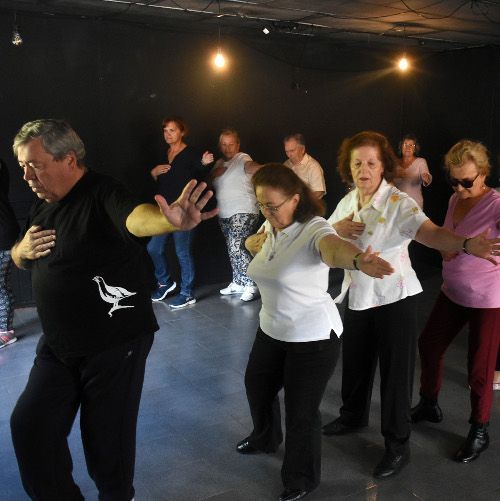 Ex Movere Sentimentum DANCA PARA TODOS out19 500x500