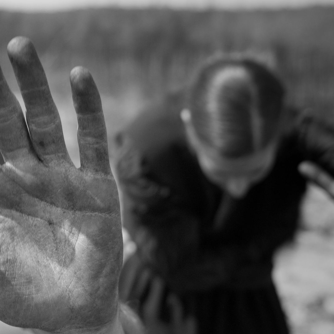 TAOL videodanca CaDA 2018 foto 5 creditos Mares do Sul news
